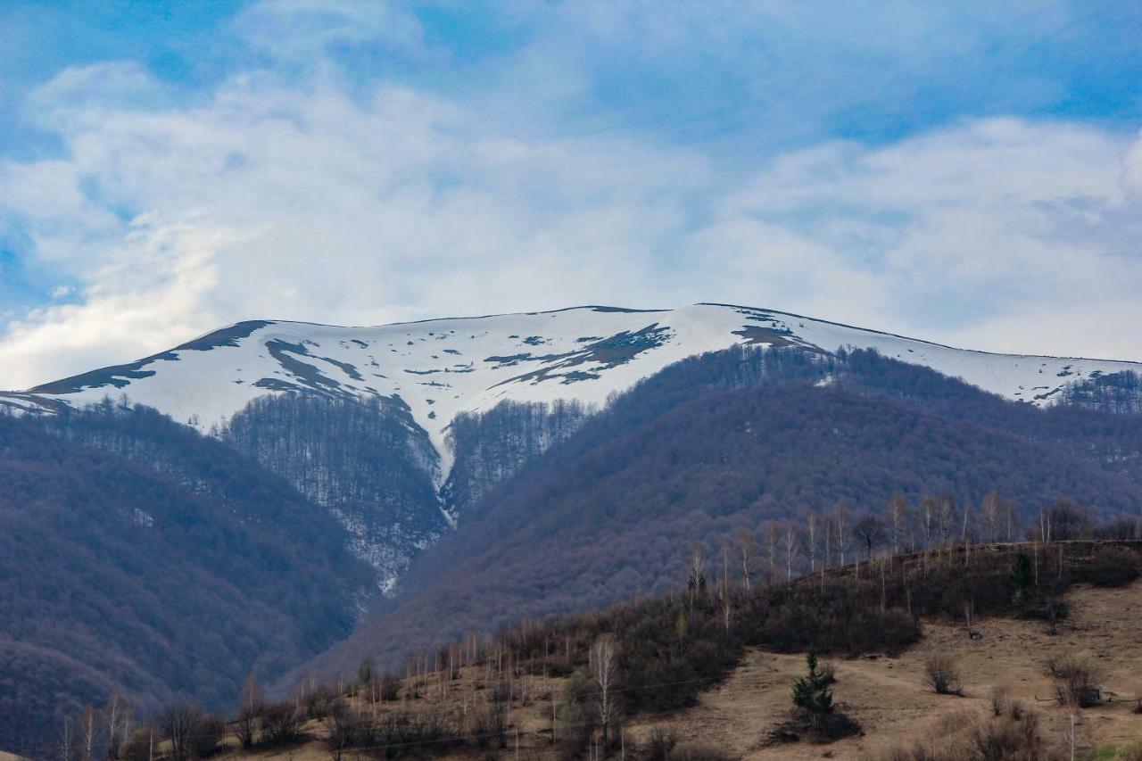 Коло Гір Hotel โกโลชาวา ภายนอก รูปภาพ